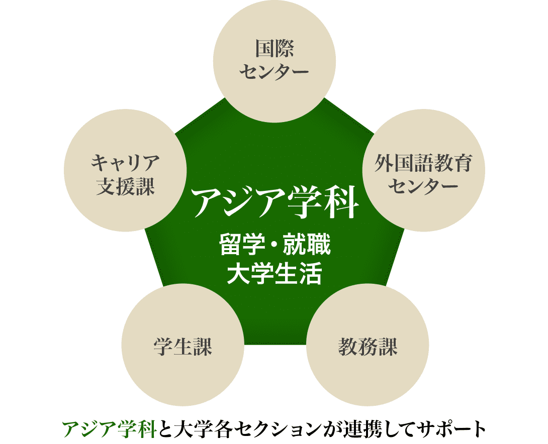 国際センター、外国語教育センター、教務課、学生課、キャリア支援課などの大学各セクションが、アジア学科と連携して、学生の留学や就職、大学生活をサポート